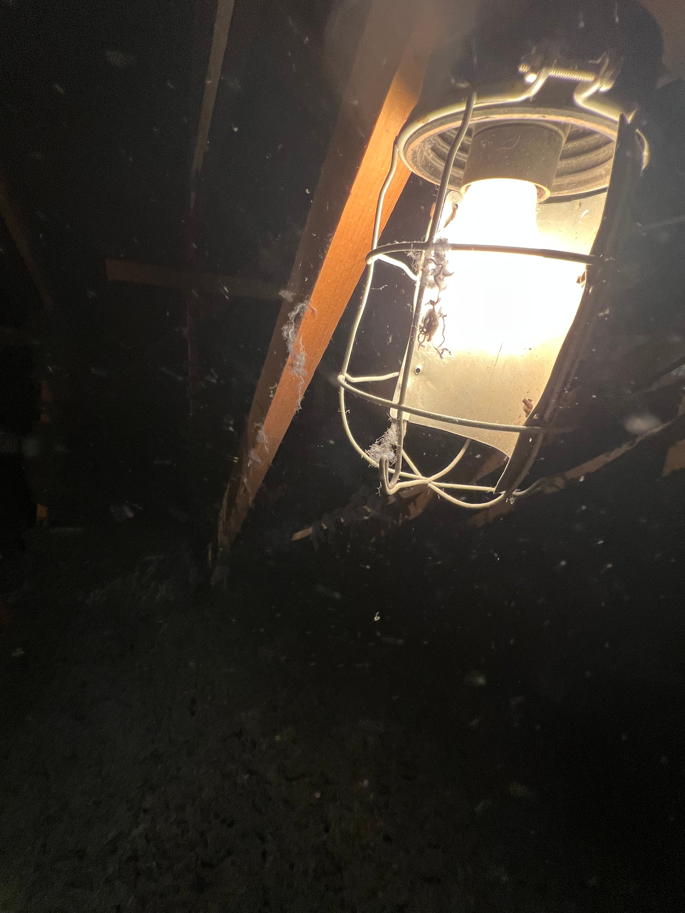 Applicateur Isolatech avec masque pendant le soufflage de laine de coton dans les combles d'un pavillon à Saint-Barthélemy